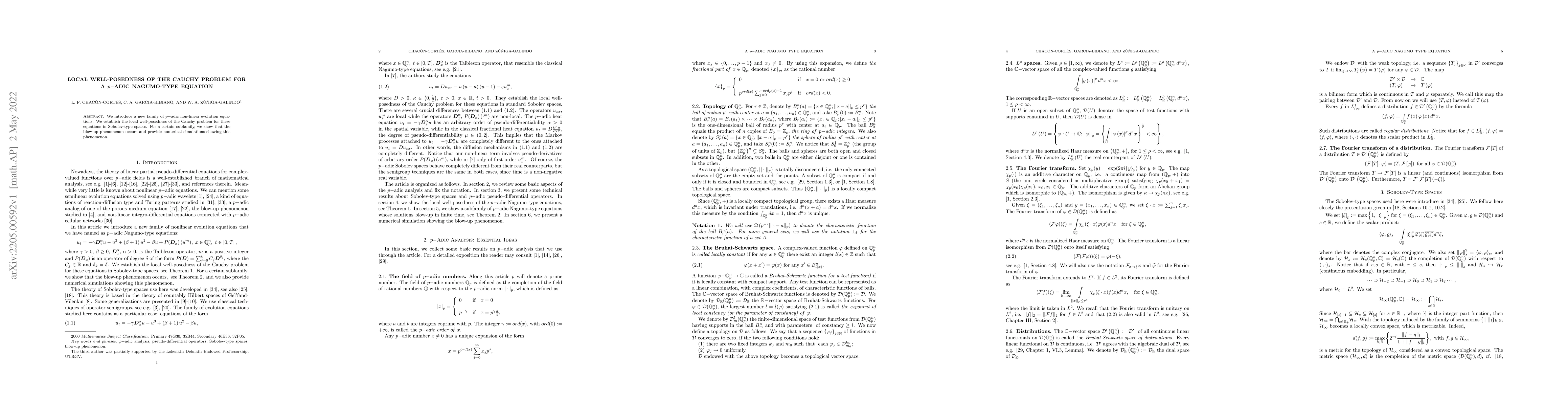 Thumbnail for Local well-posedness of the Cauchy problem for a p-adic Nagumo-type
  equation
