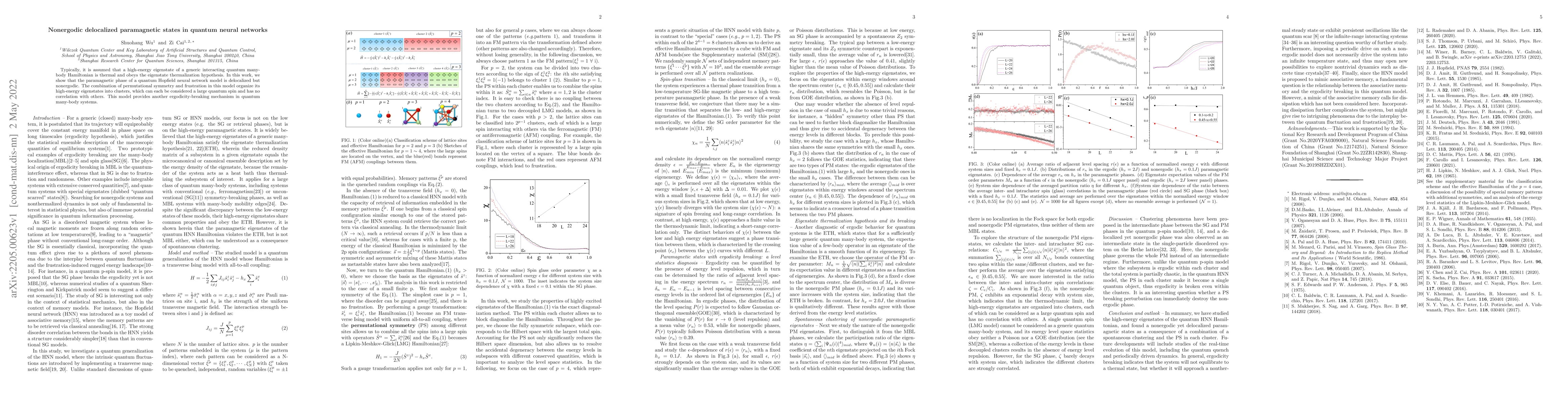 Thumbnail for Nonergodic delocalized paramagnetic states in quantum neural networks