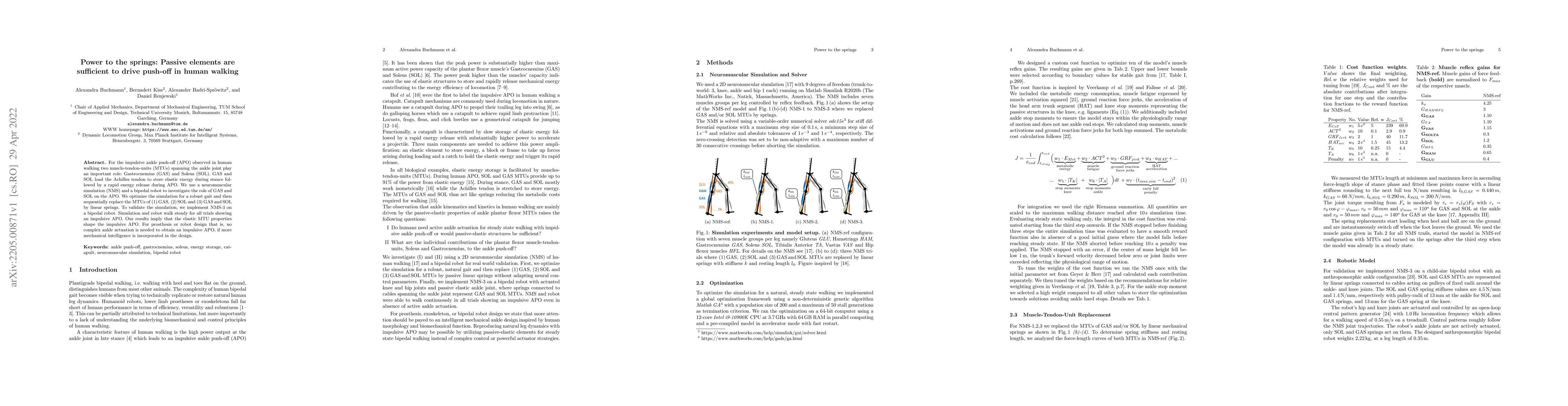 Thumbnail for Power to the springs: Passive elements are sufficient to drive push-off
  in human walking