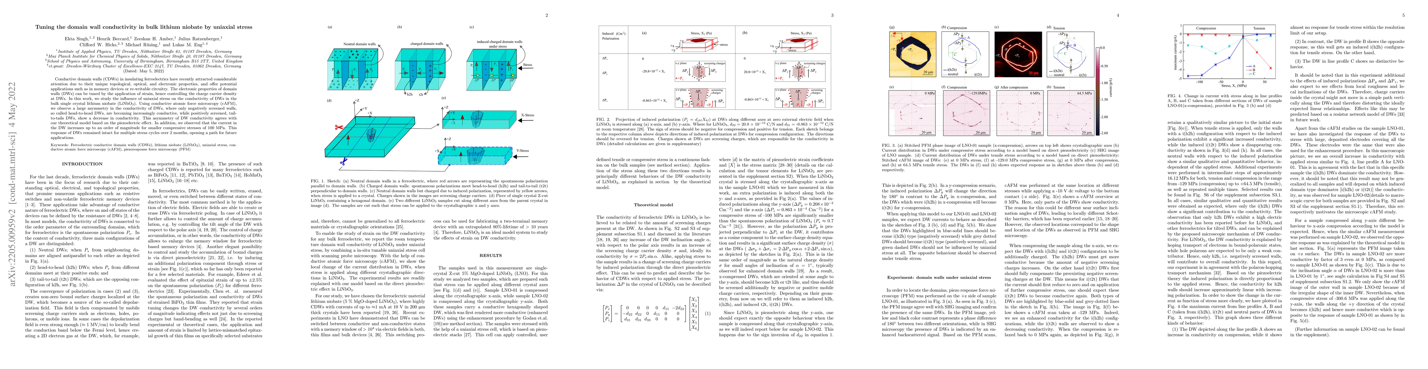 Thumbnail for Tuning the domain wall conductivity in bulk lithium niobate by uniaxial
  stress