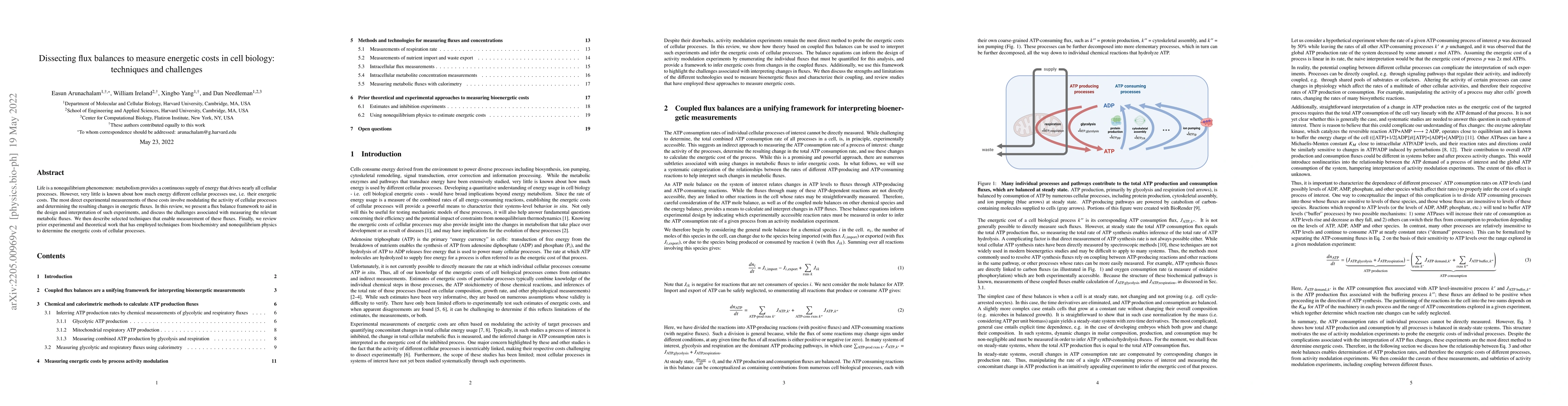 Thumbnail for Dissecting flux balances to measure energetic costs in cell biology:
  techniques and challenges