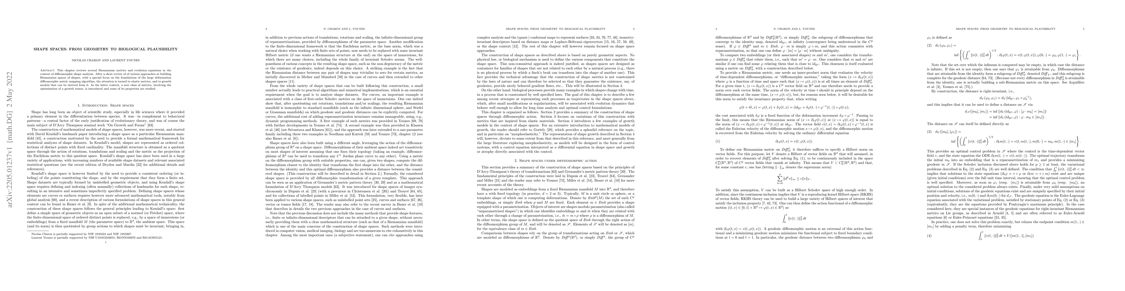 Thumbnail for Shape spaces: From geometry to biological plausibility