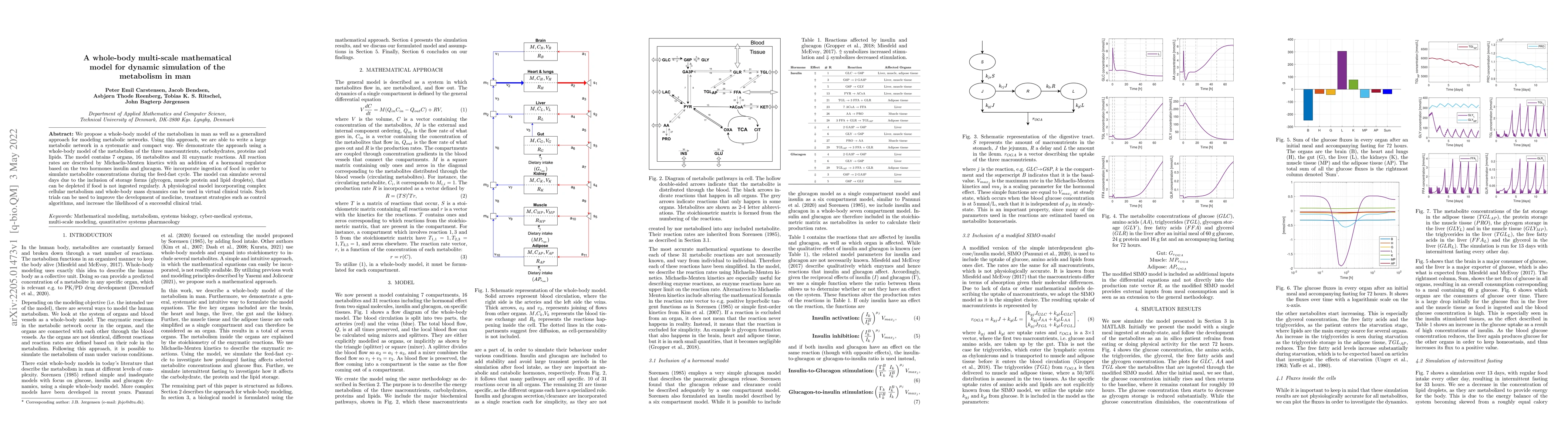 Thumbnail for A whole-body multi-scale mathematical model for dynamic simulation of
  the metabolism in man