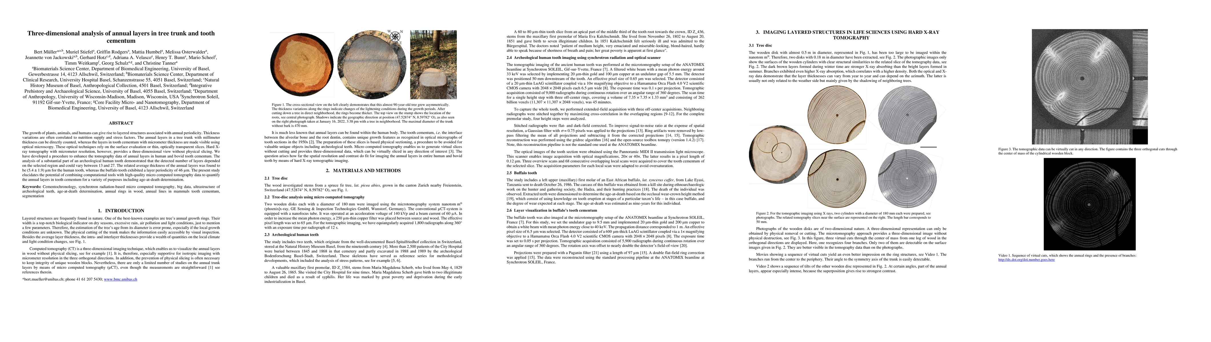 Thumbnail for Three-dimensional imaging and analysis of annual layers in tree trunk
  and tooth cementum