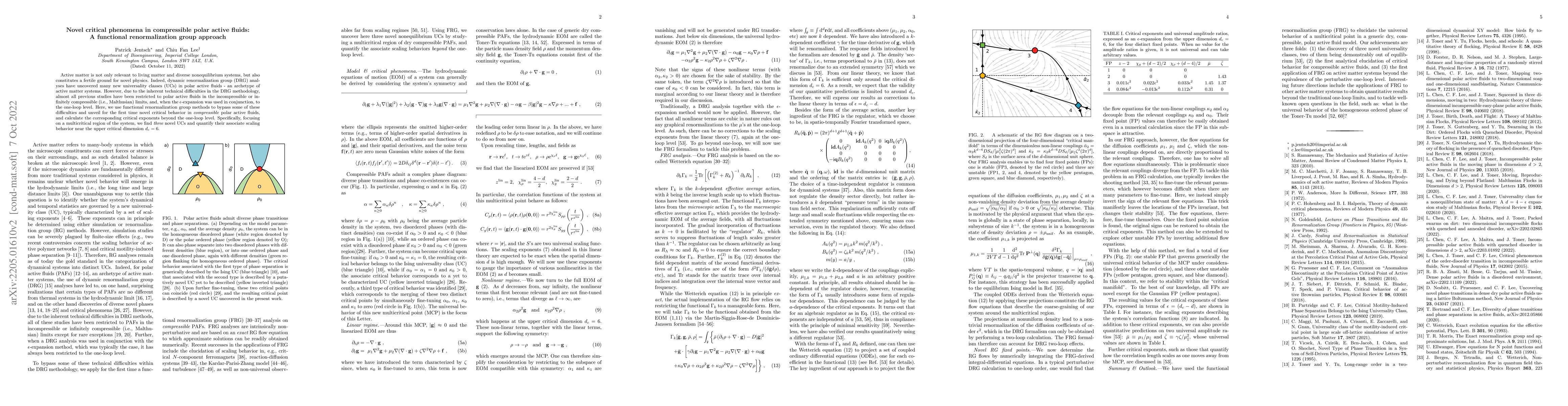 Thumbnail for Novel critical phenomena in compressible polar active fluids: A
  functional renormalization group approach