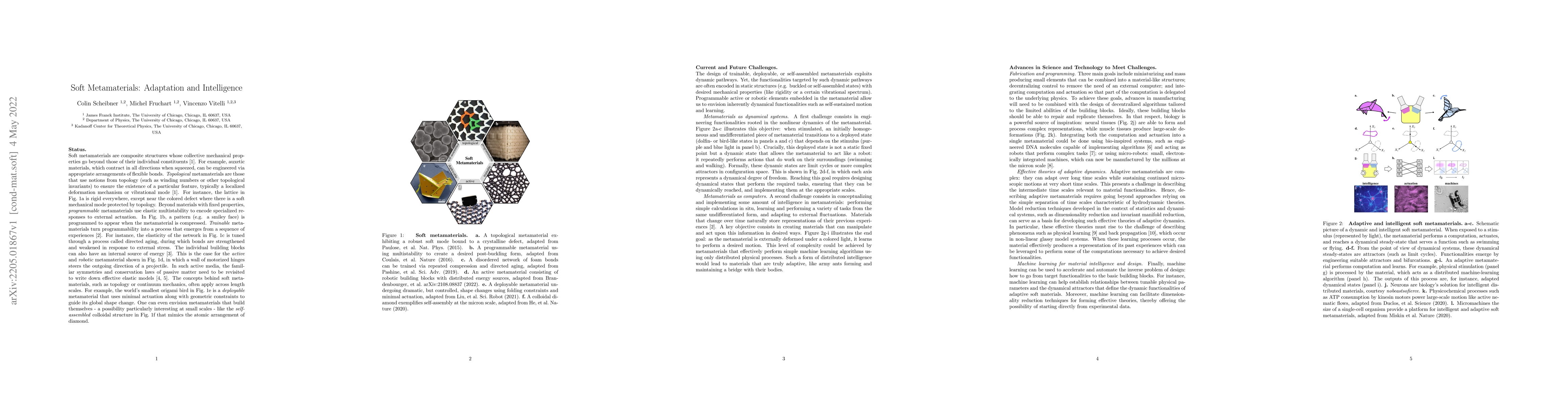 Thumbnail for Soft Metamaterials: Adaptation and Intelligence
