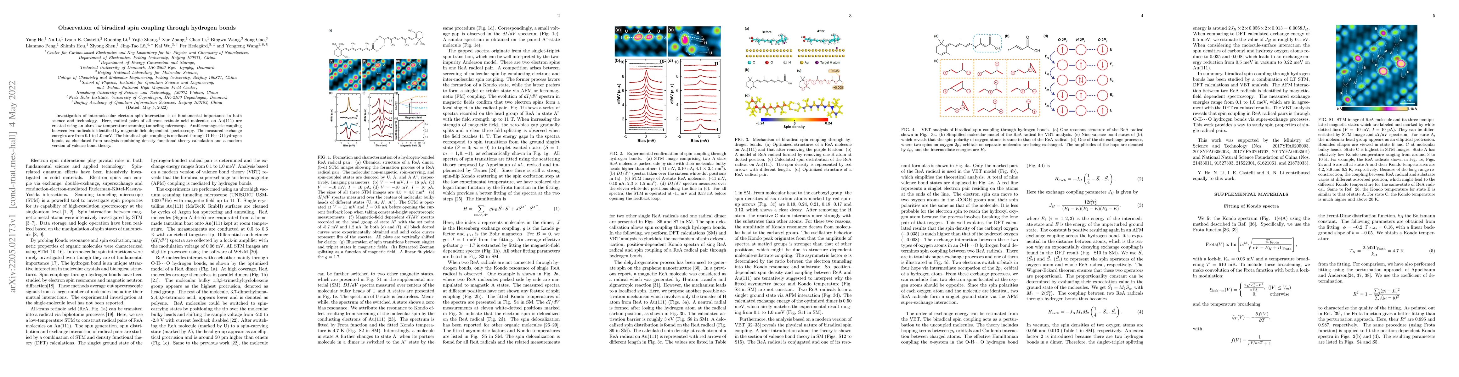 Thumbnail for Observation of biradical spin coupling through hydrogen bonds