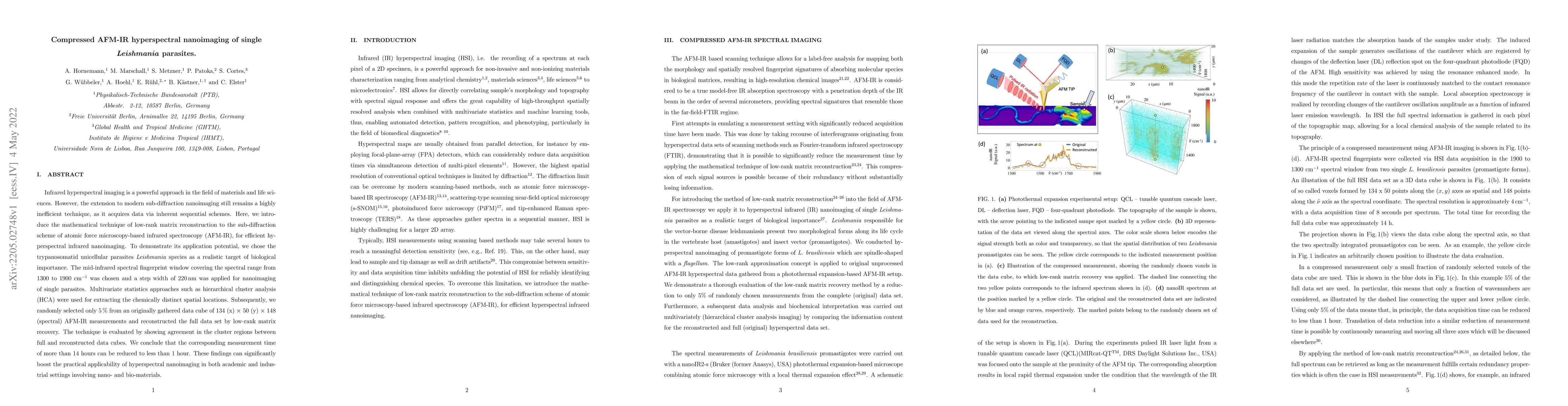 Thumbnail for Compressed AFM-IR hyperspectral nanoimaging of single Leishmania
  parasites