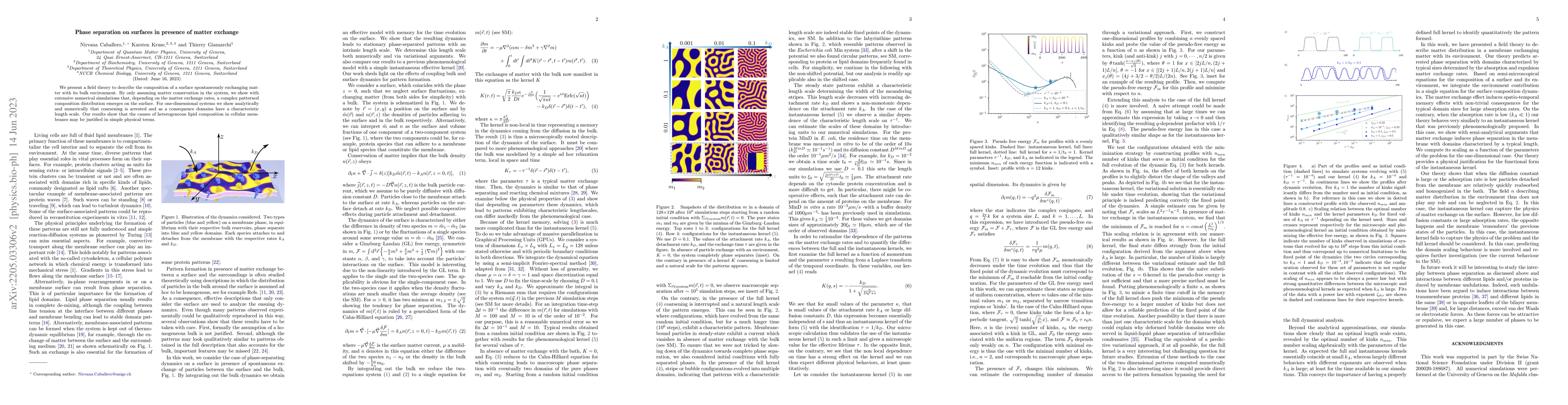 Thumbnail for Phase separation on surfaces in presence of matter exchange