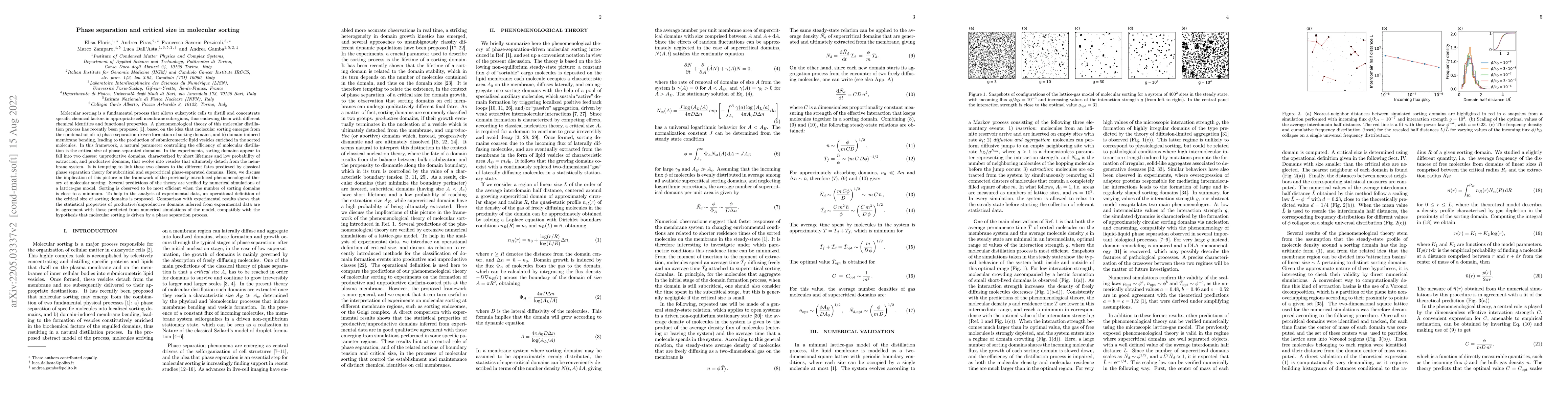 Thumbnail for Phase separation and critical size in molecular sorting