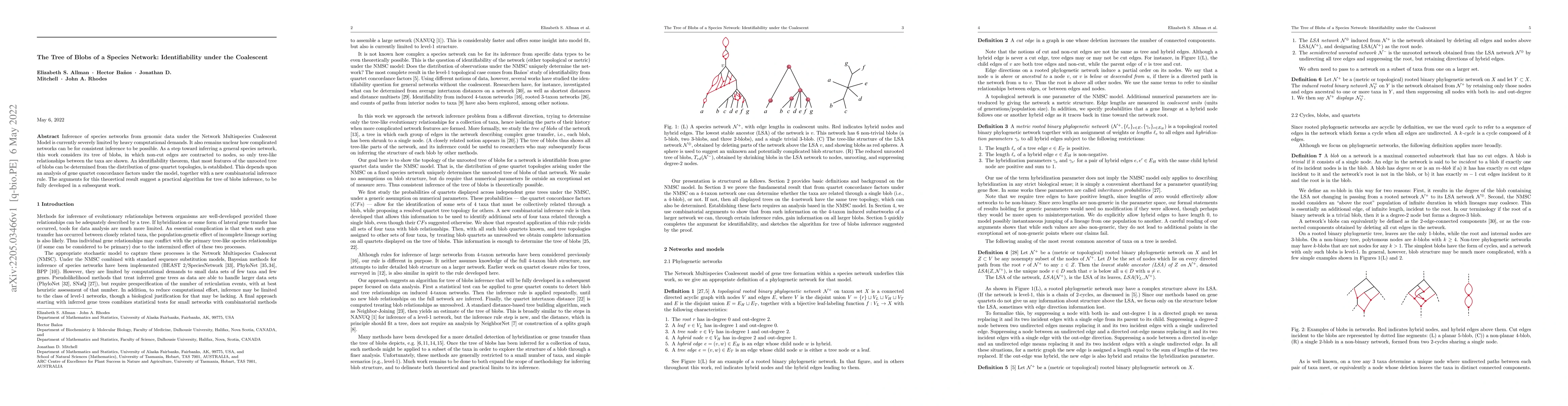 Thumbnail for The Tree of Blobs of a Species Network: Identifiability under the
  Coalescent