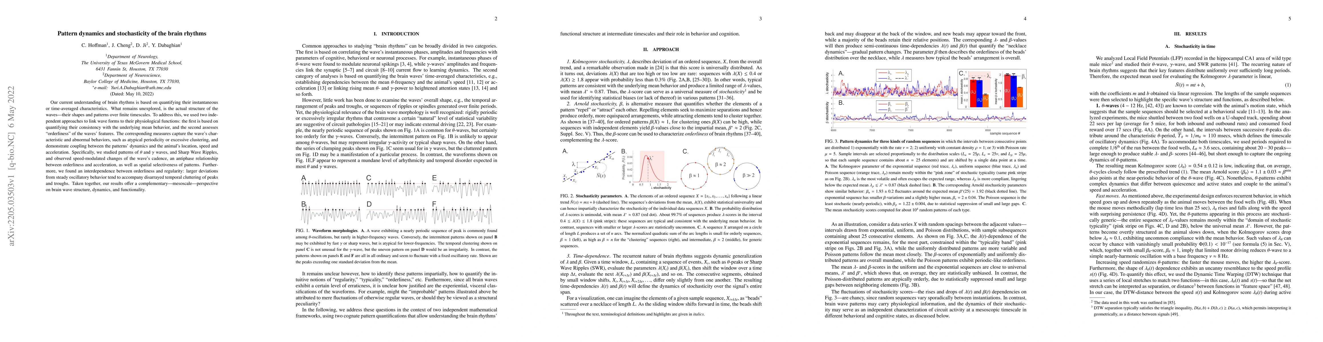 Thumbnail for Pattern dynamics and stochasticity of the brain rhythms