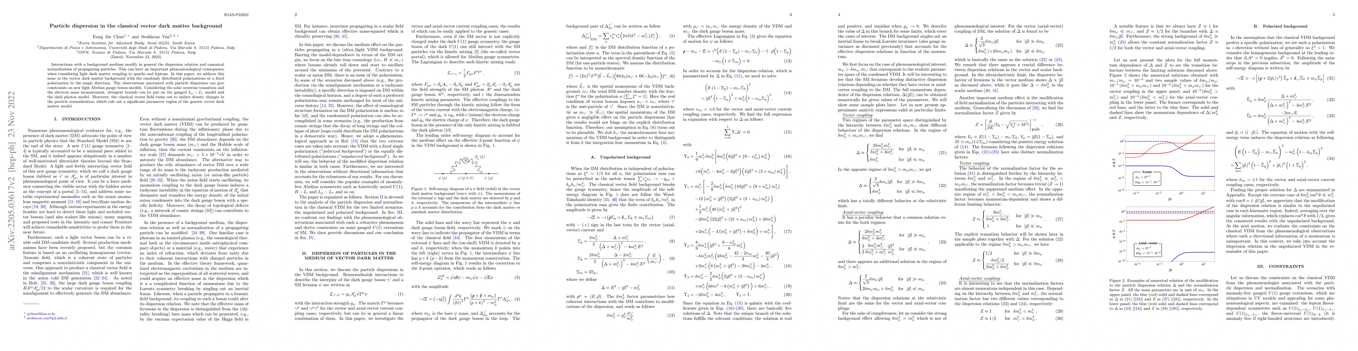 Thumbnail for Particle dispersion in the classical vector dark matter background