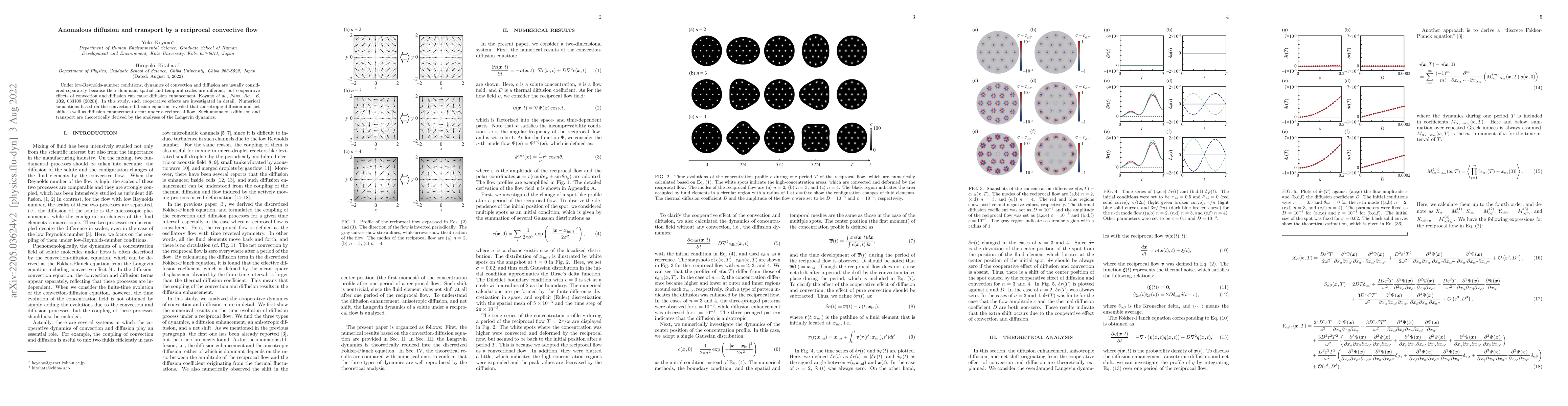 Thumbnail for Anomalous diffusion and transport by a reciprocal convective flow