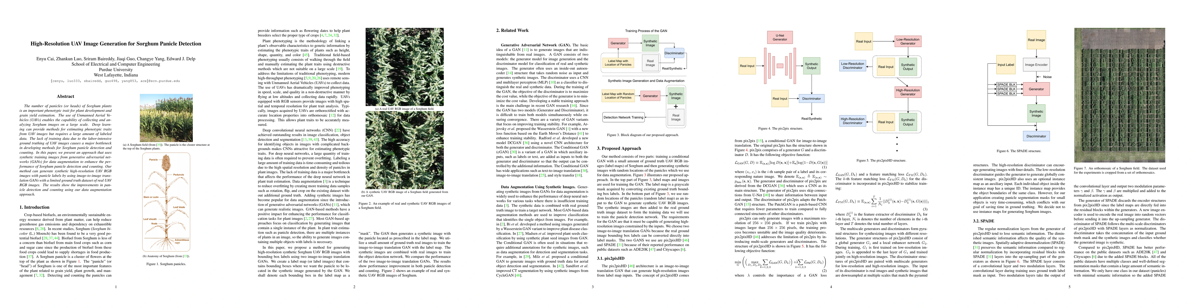Thumbnail for High-Resolution UAV Image Generation for Sorghum Panicle Detection