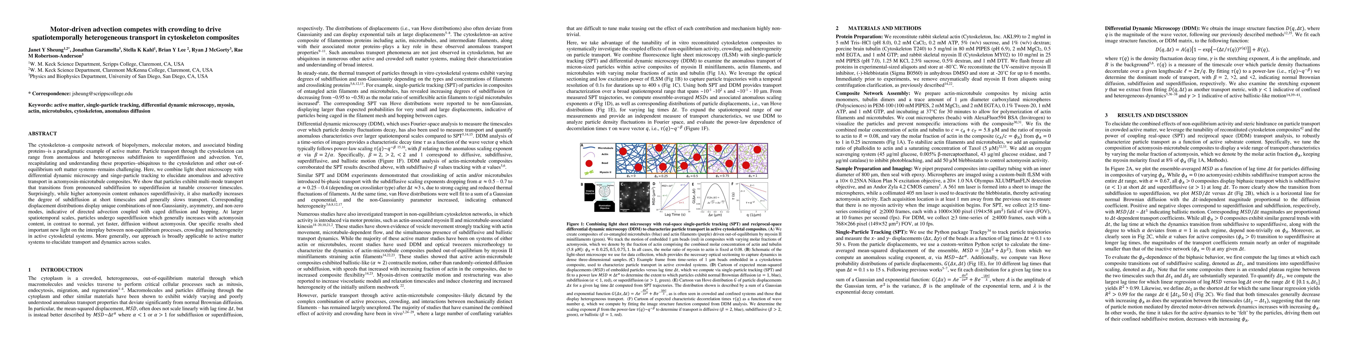 Thumbnail for Motor-driven advection competes with crowding to drive spatiotemporally
  heterogeneous transport in cytoskeleton composites