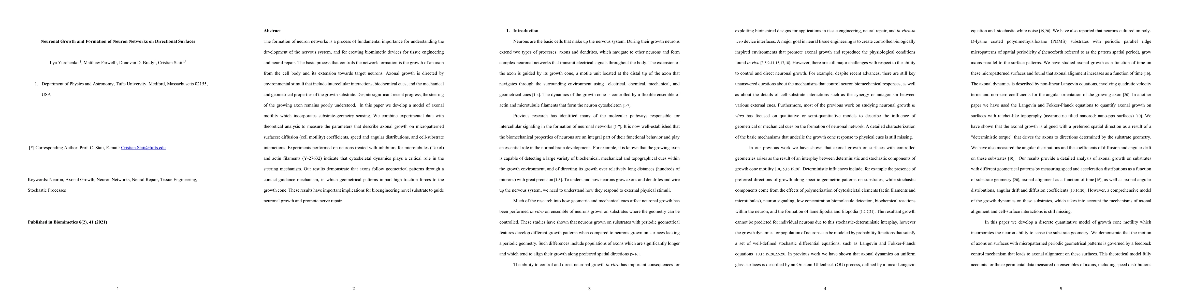 Thumbnail for Neuronal Growth and Formation of Neuron Networks on Directional Surfaces