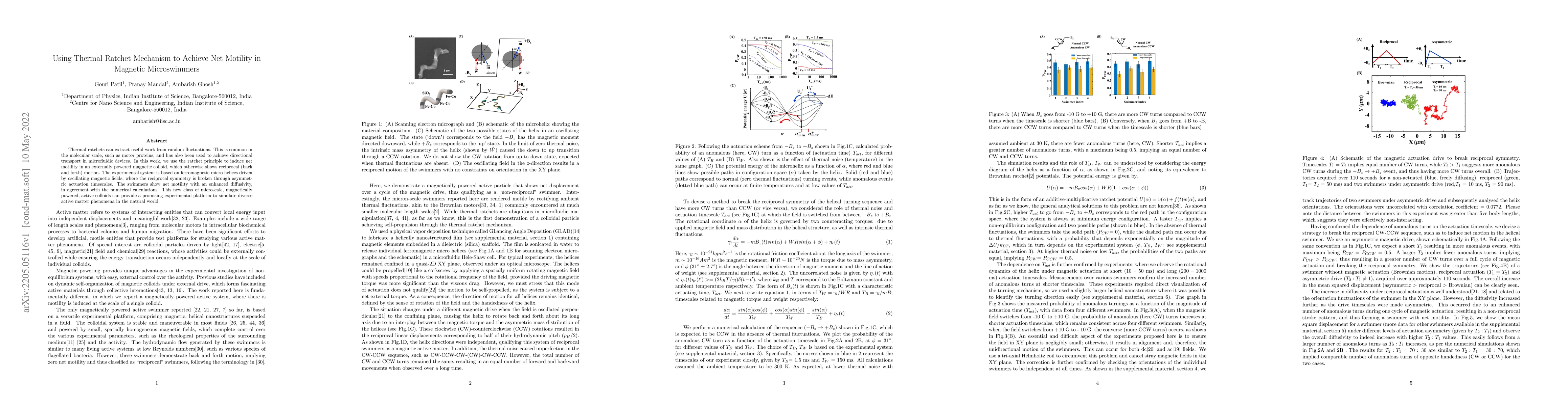 Thumbnail for Using Thermal Ratchet Mechanism to Achieve Net Motility in Magnetic
  Microswimmers