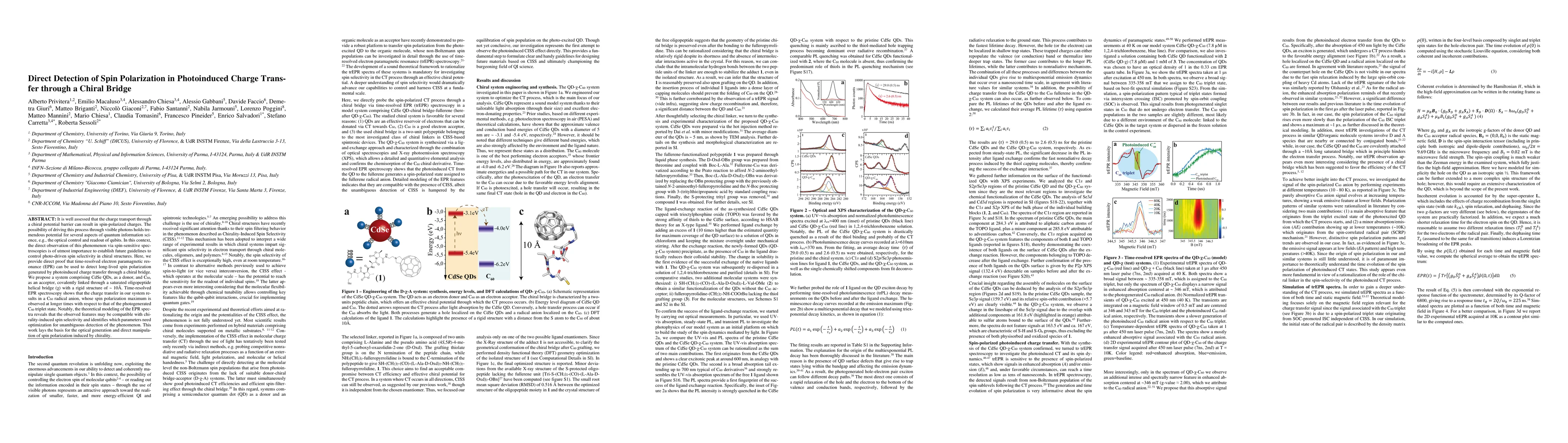 Thumbnail for Direct detection of spin polarization in photoinduced charge transfer
  through a chiral bridge