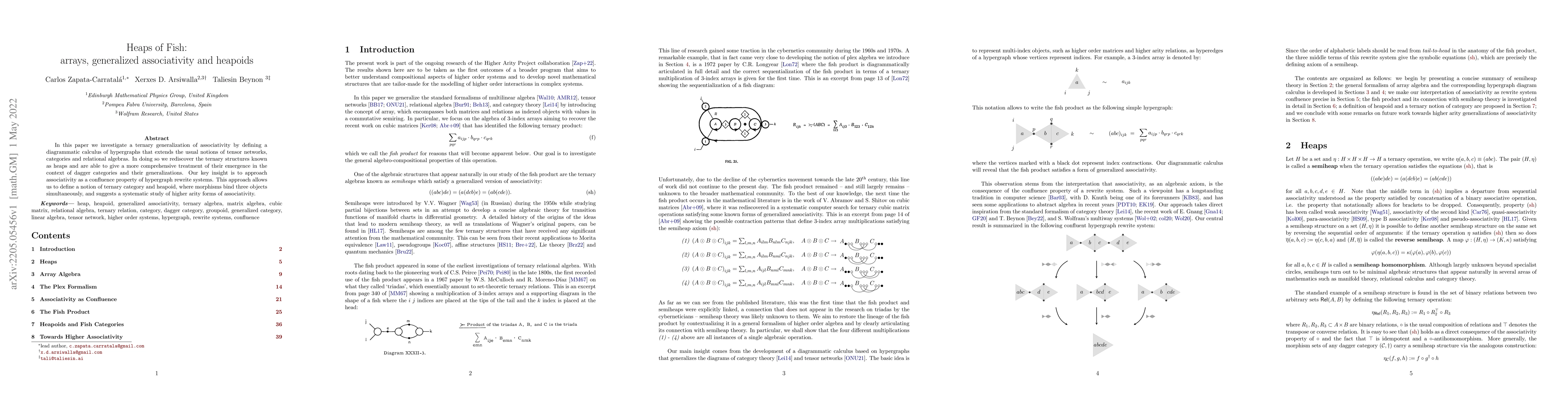 Thumbnail for Heaps of Fish: arrays, generalized associativity and heapoids