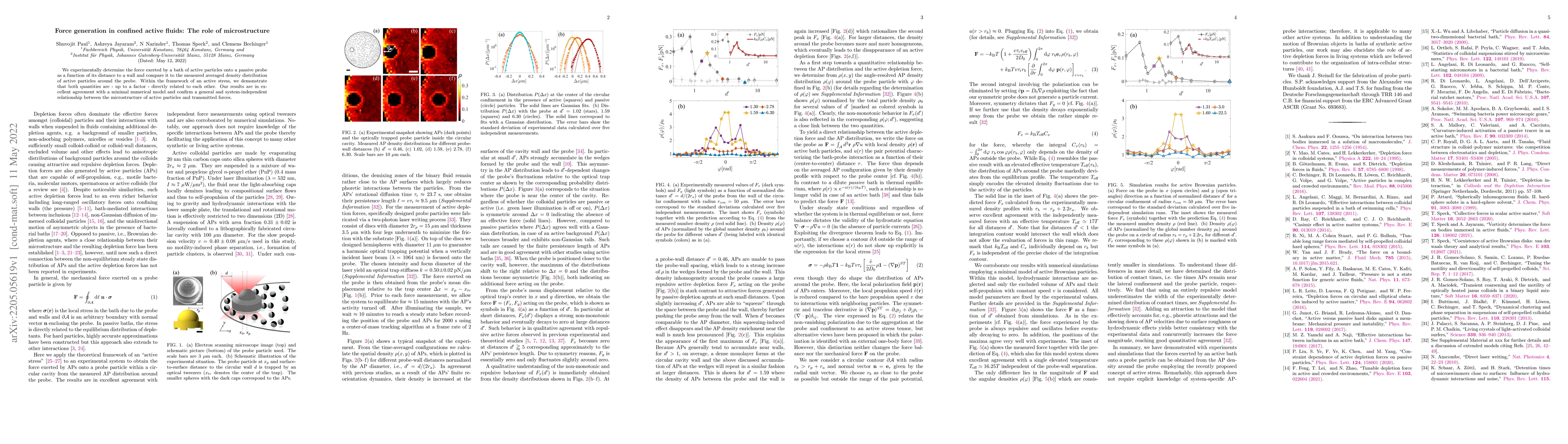 Thumbnail for Force generation in confined active fluids: The role of microstructure