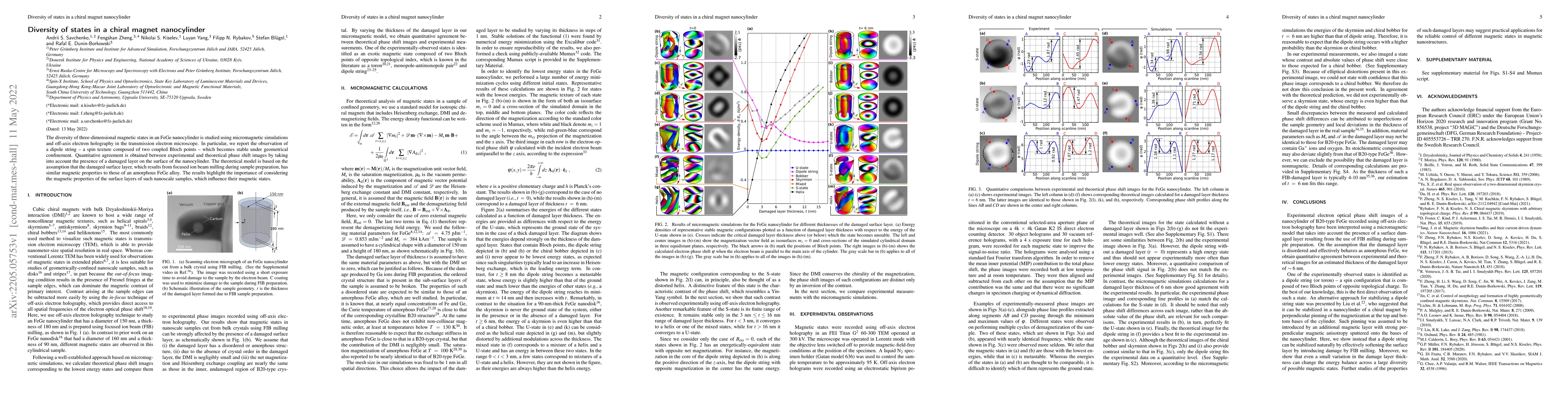 Thumbnail for Diversity of states in a chiral magnet nanocylinder