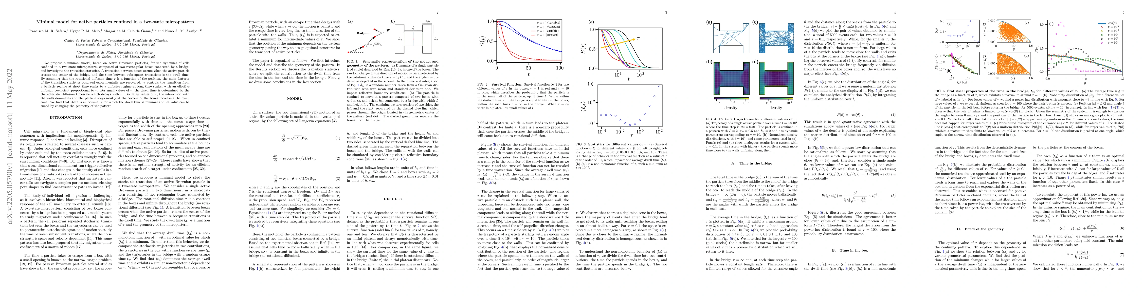 Thumbnail for Minimal model for active particles confined in a two-state micropattern