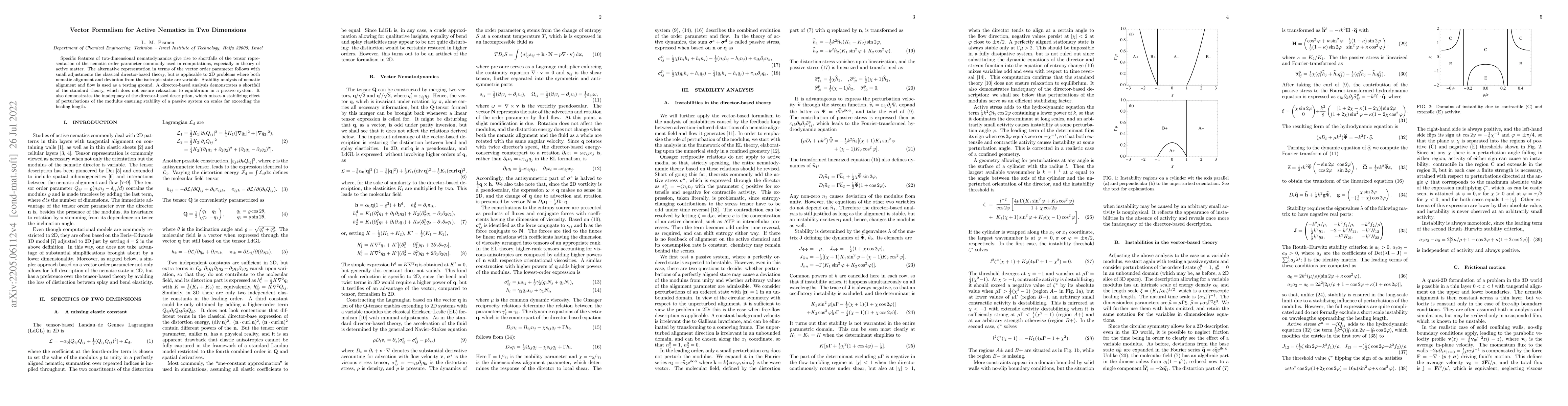 Thumbnail for Vector Formalism for Active Nematics in Two Dimensions
