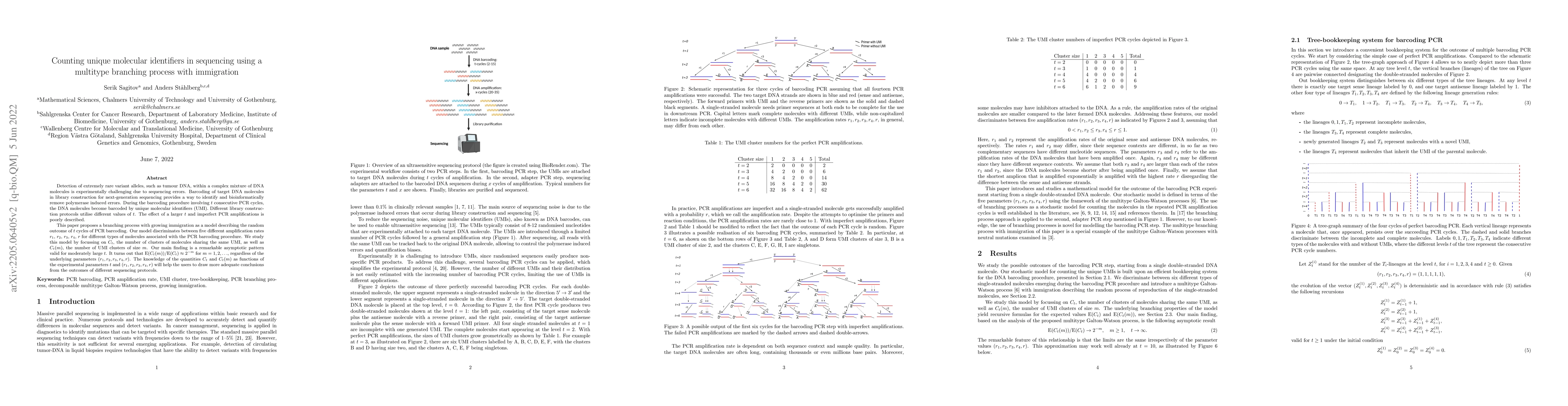 Thumbnail for Counting unique molecular identifiers in sequencing using a multitype
  branching process with immigration