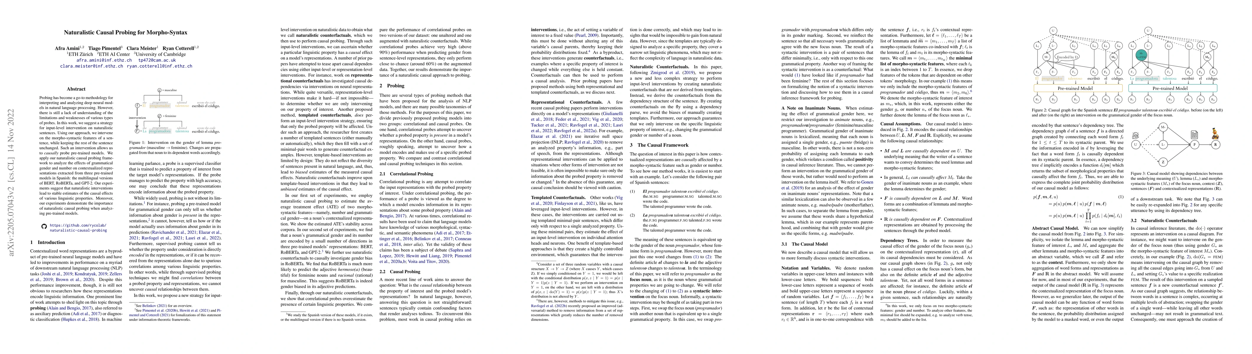 Thumbnail for Naturalistic Causal Probing for Morpho-Syntax