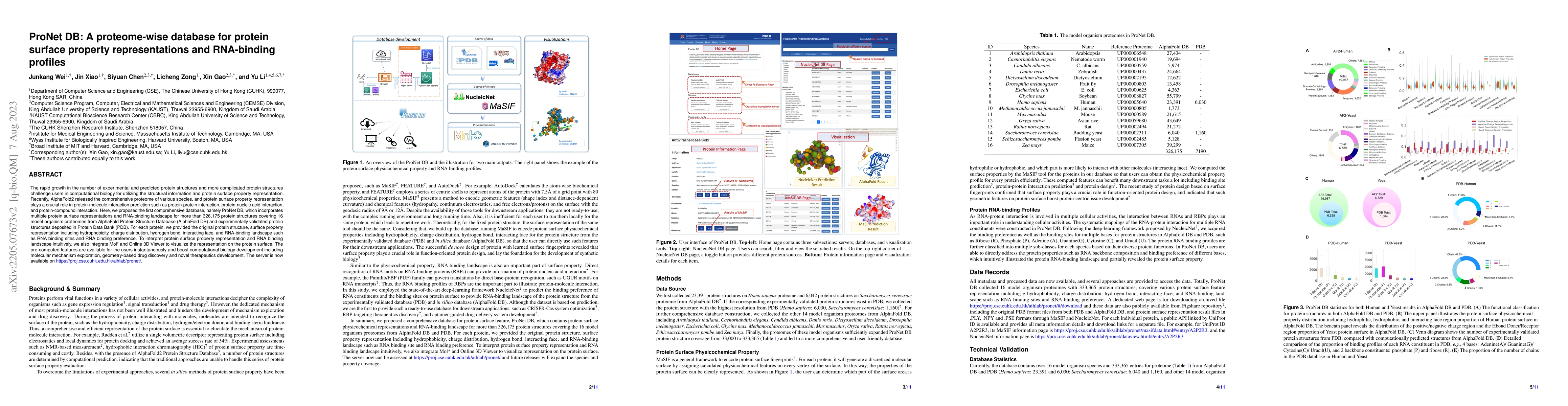 Thumbnail for ProNet DB: A proteome-wise database for protein surface property
  representations and RNA-binding profiles
