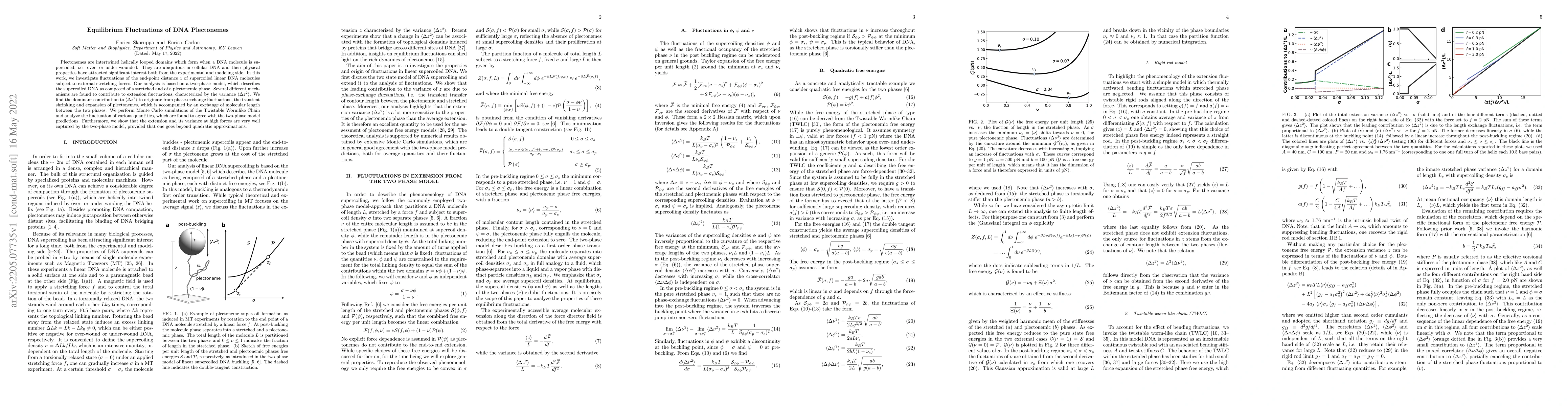 Thumbnail for Equilibrium Fluctuations of DNA Plectonemes