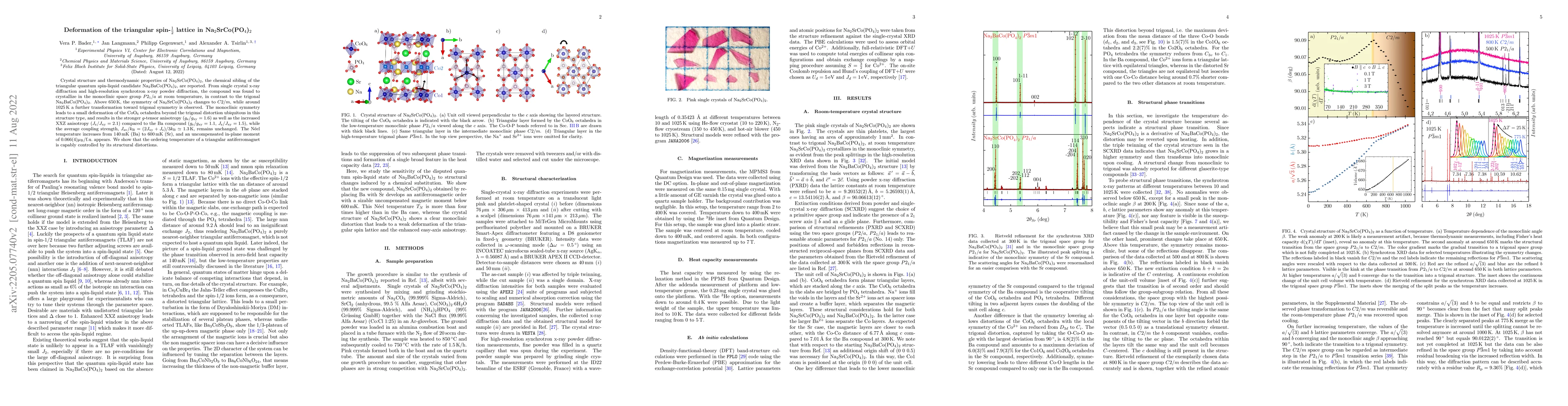 Thumbnail for Deformation of the triangular spin-$\frac{1}{2}$ lattice in
  Na$_2$SrCo(PO$_4$)$_2$