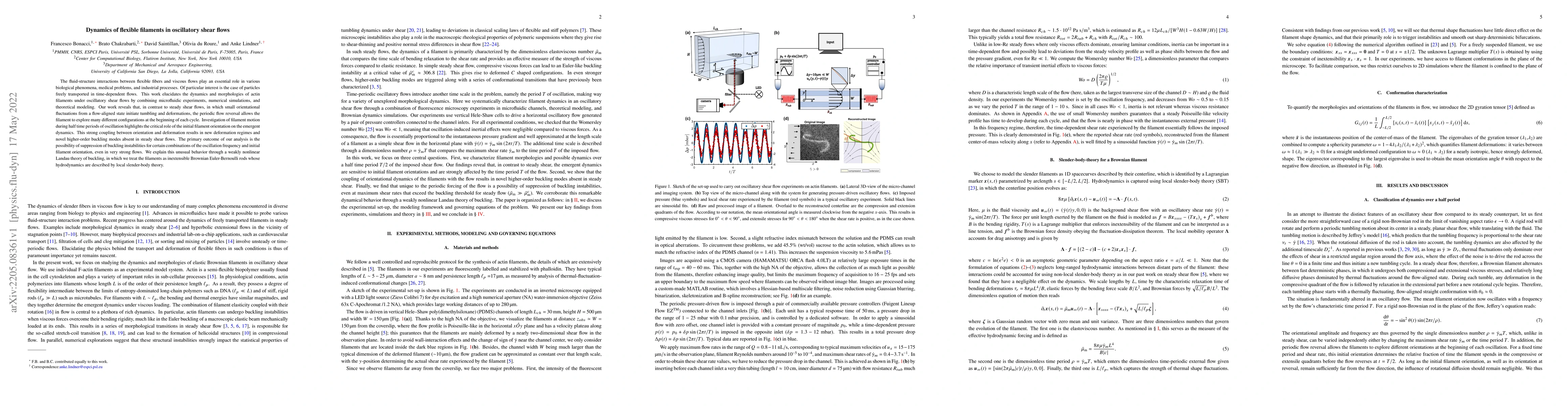 Thumbnail for Dynamics of flexible filaments in oscillatory shear flows