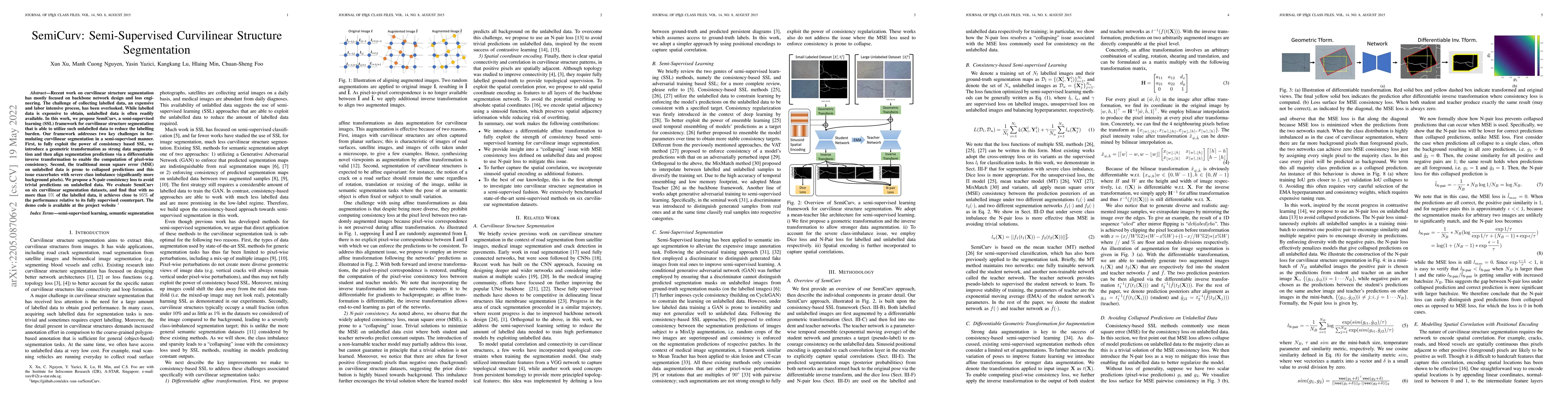 Thumbnail for SemiCurv: Semi-Supervised Curvilinear Structure Segmentation