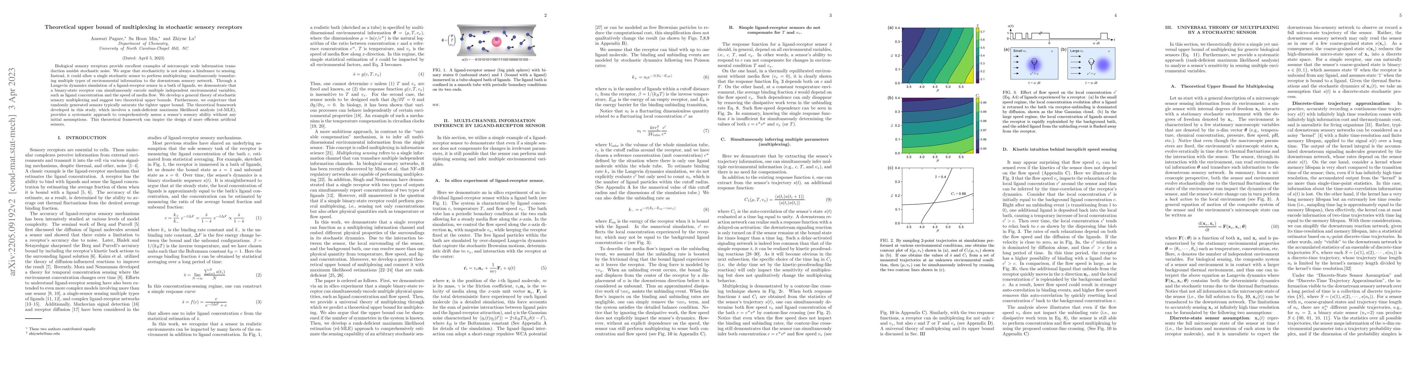 Thumbnail for Theoretical upper bound of multiplexing in stochastic sensory receptors