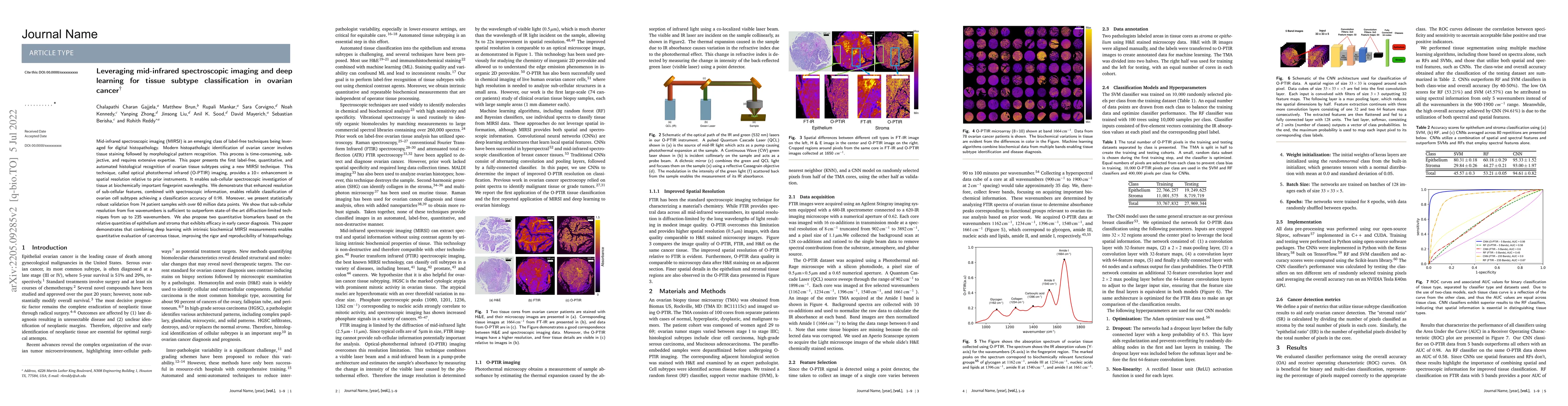 Thumbnail for Leveraging mid-infrared spectroscopic imaging and deep learning for
  tissue subtype classification in ovarian cancer
