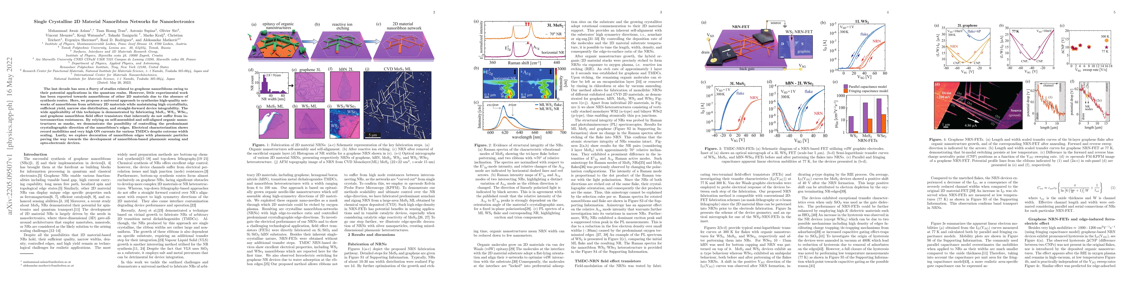 Thumbnail for Single Crystalline 2D Material Nanoribbon Networks for Nanoelectronics