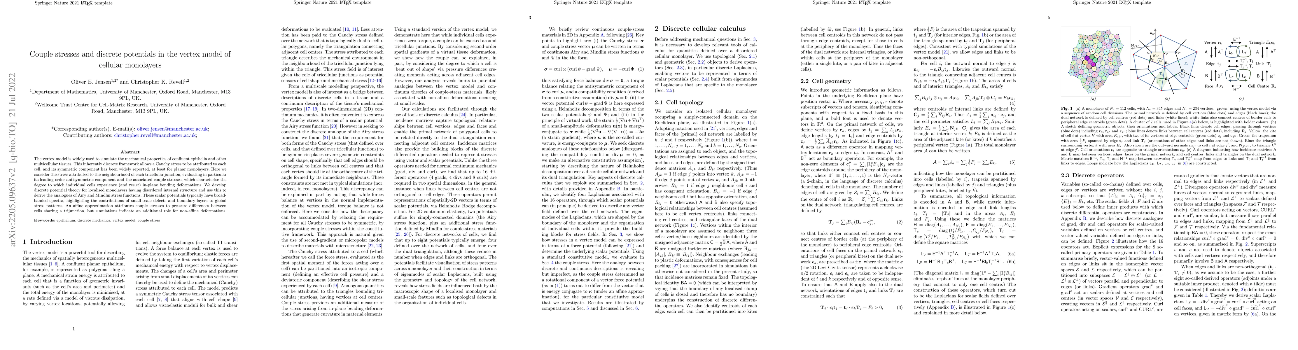 Thumbnail for Couple stresses and discrete potentials in the vertex model of cellular
  monolayers