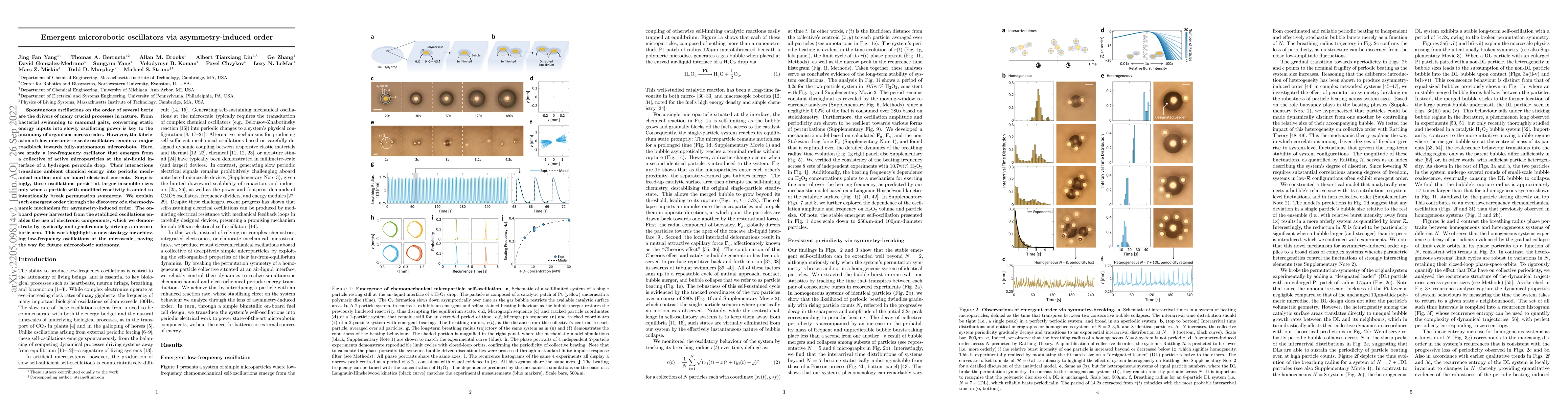 Thumbnail for Emergent Microrobotic Oscillators via Asymmetry-Induced Order