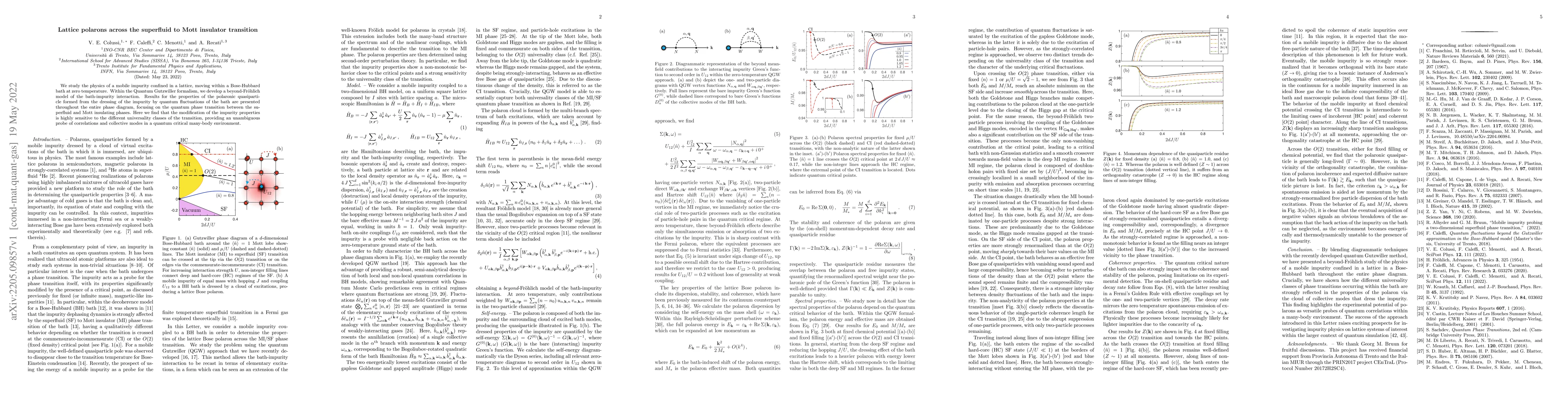 Thumbnail for Lattice polarons across the superfluid to Mott insulator transition