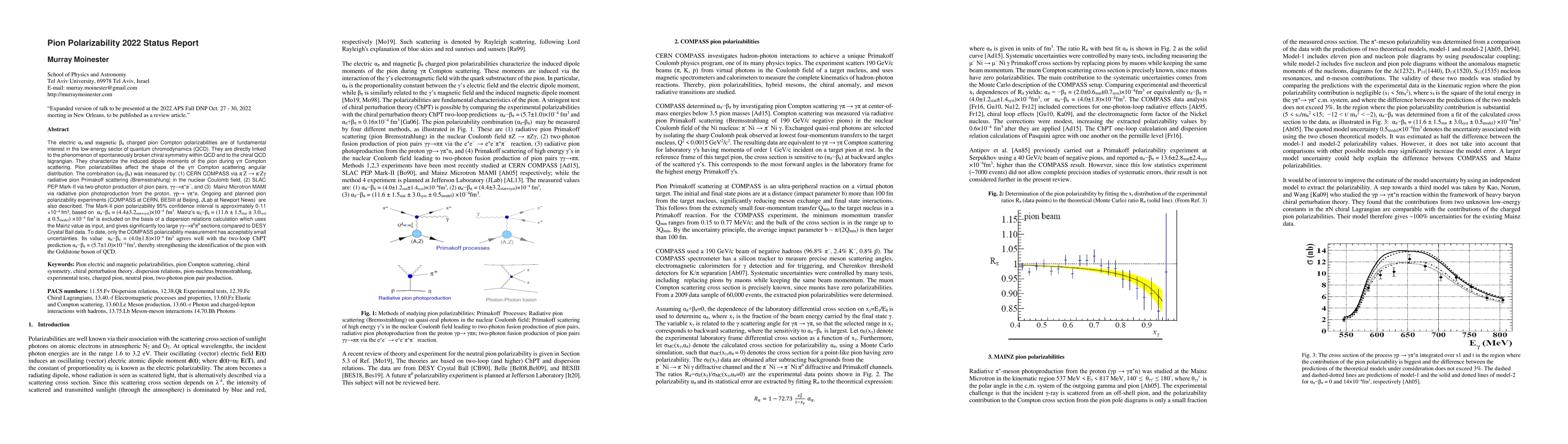 Thumbnail for Pion Polarizability 2022 Status Report