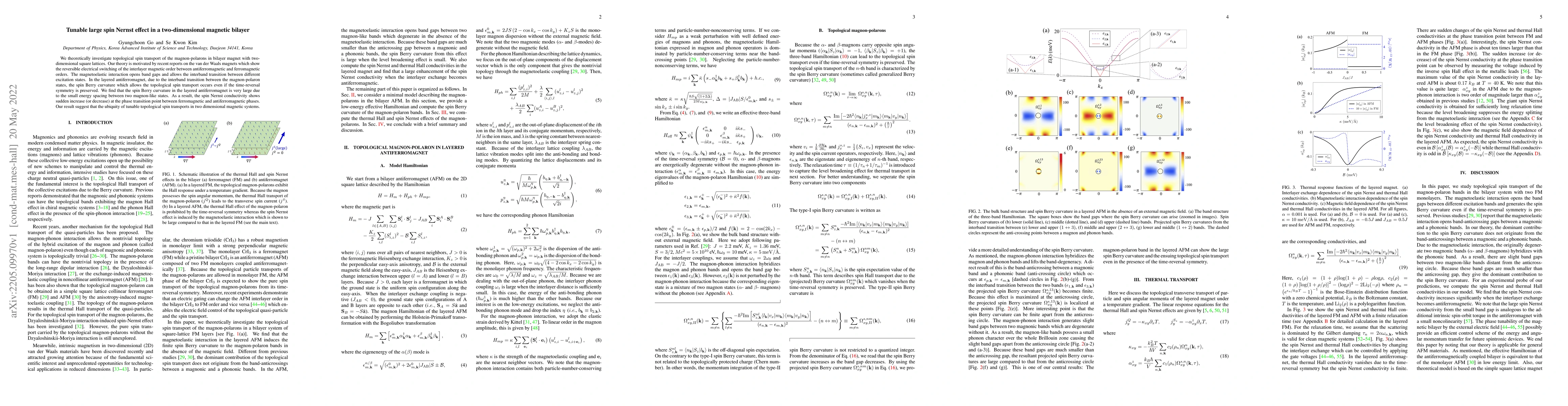 Thumbnail for Tunable large spin Nernst effect in a two-dimensional magnetic bilayer