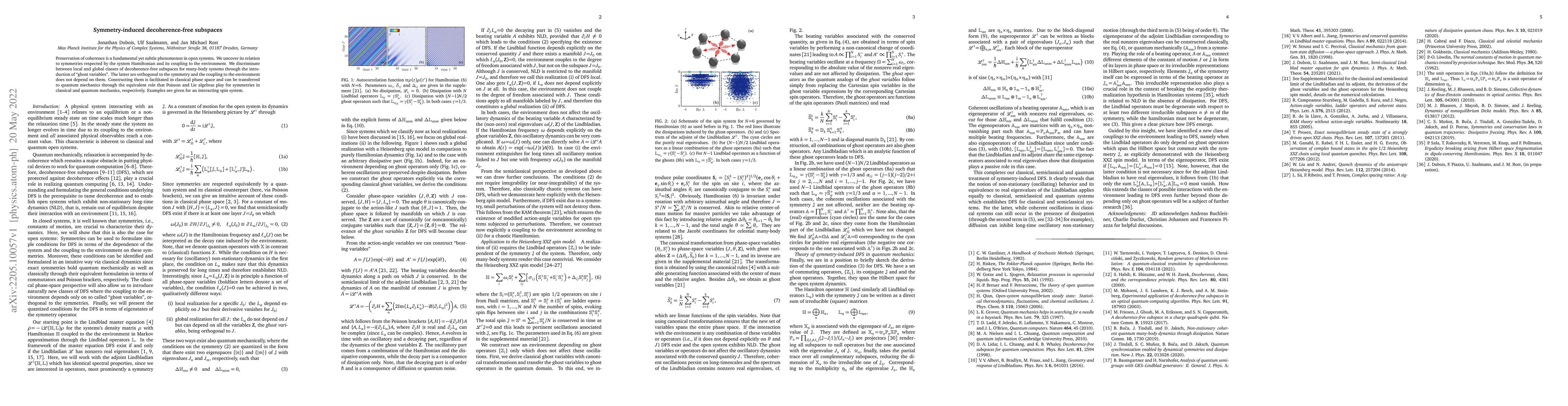 Thumbnail for Symmetry-induced decoherence-free subspaces