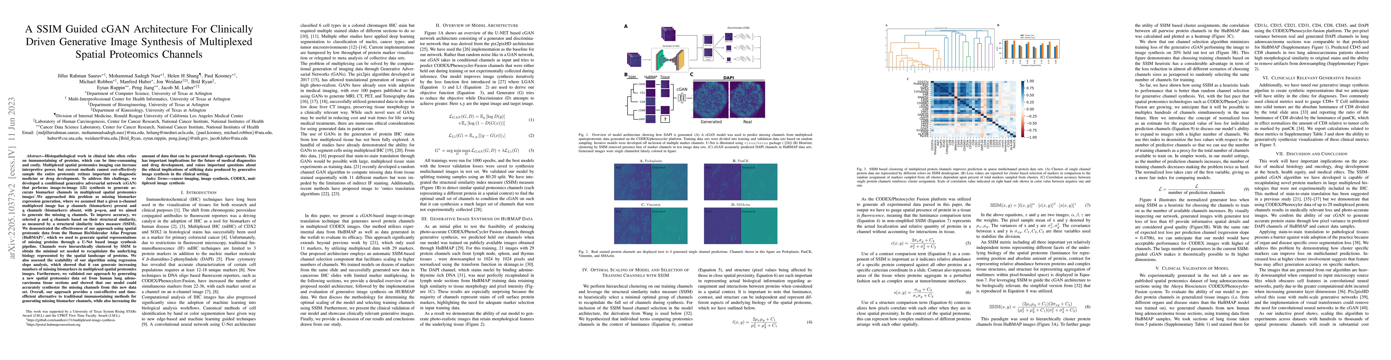 Thumbnail for A SSIM Guided cGAN Architecture For Clinically Driven Generative Image
  Synthesis of Multiplexed Spatial Proteomics Channels