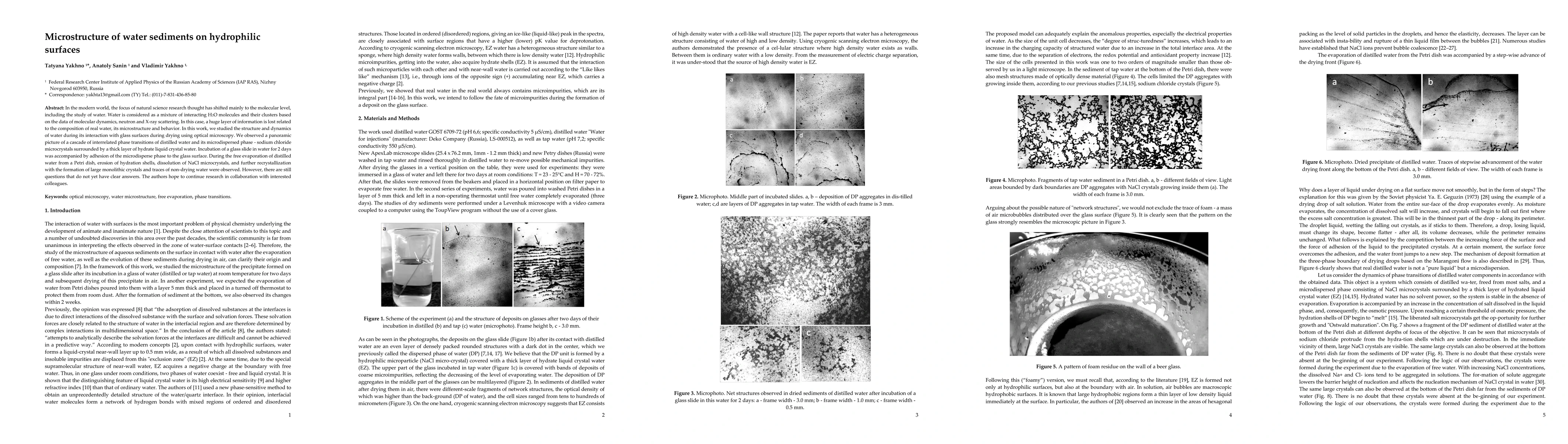Thumbnail for Microstructure of water sediments on hydrophilic surfaces