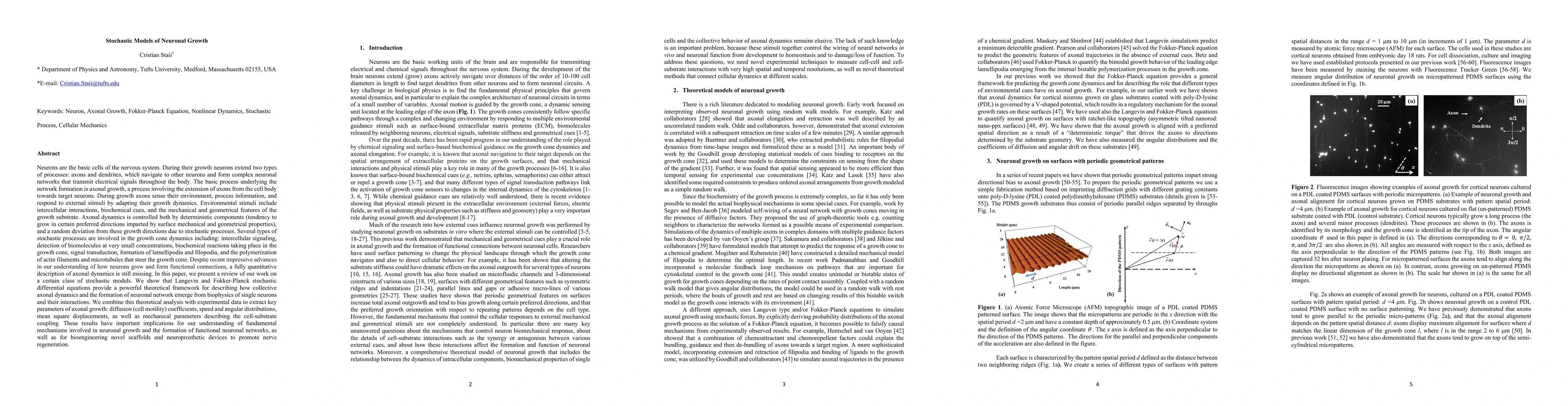 Thumbnail for Stochastic Models of Neuronal Growth