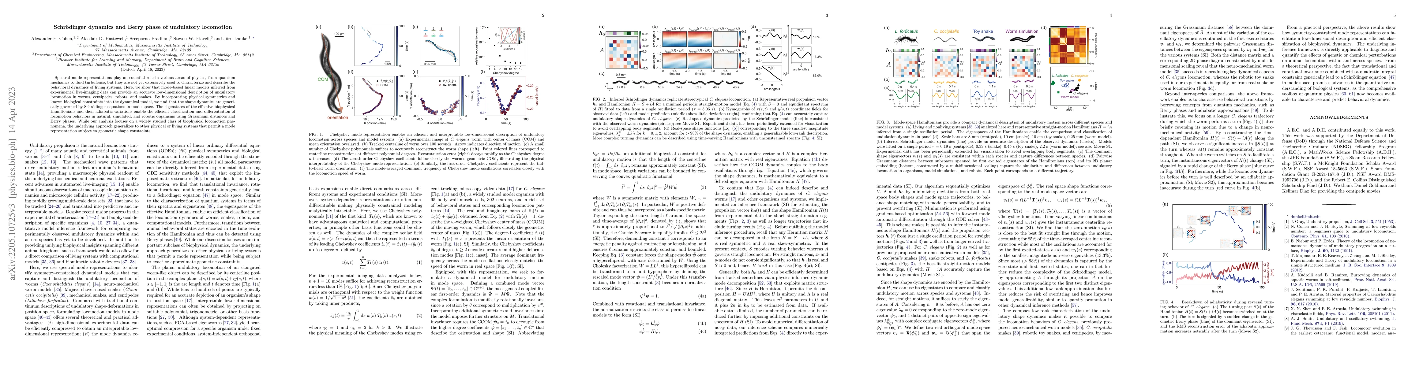 Thumbnail for Schrodinger dynamics and Berry phase of undulatory locomotion