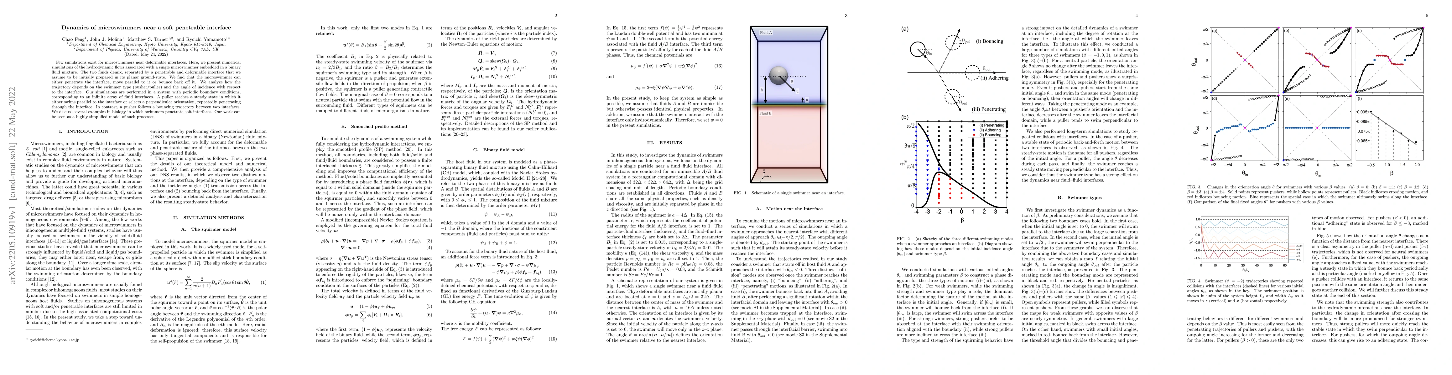 Thumbnail for Dynamics of microswimmers near a soft penetrable interface