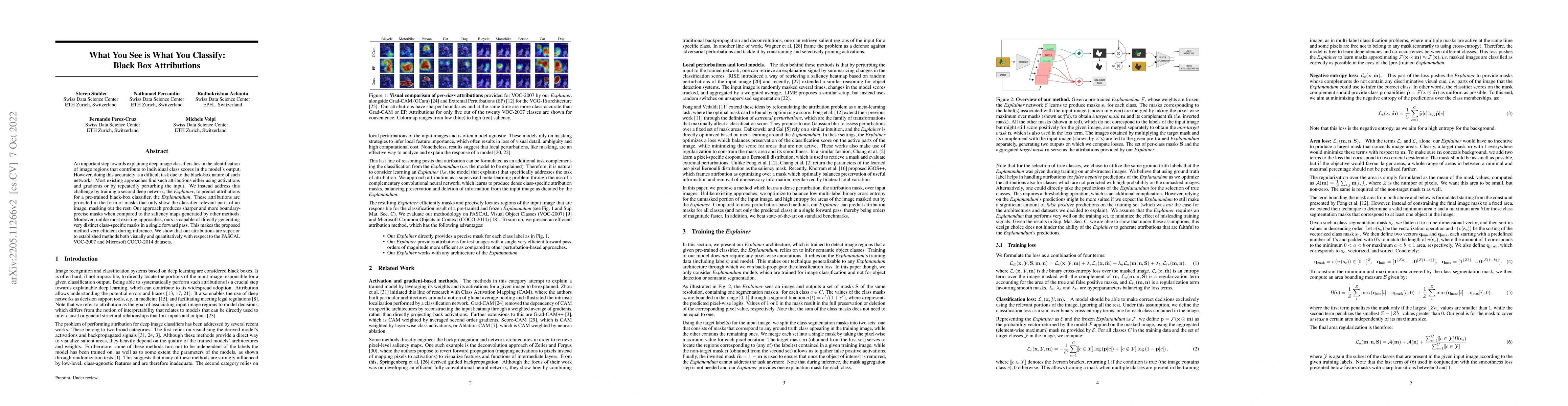 Thumbnail for What You See is What You Classify: Black Box Attributions